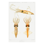 Ocean 22 Art Print