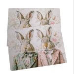 Placemats - Rabbit Twins