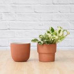 Moon Planter - Terracotta White - 13CM