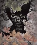 Comfort For The Day - Living Through The Seasons Of Grief Paperback