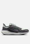 Nike Pegasus 41 Gore-tex