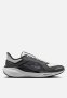 Nike Pegasus 41 Gore-tex