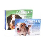 Flea Treatment - Small