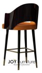 Luxurious Bar Chair