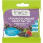 Smartbite Dark Chocolate Mixed Berry 40G