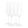 - 260ML Champagne Glasses - Set Of 4