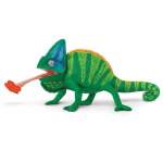 Veiled Chameleon By