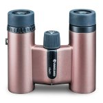 Vesta Compact 21 10 21 Binoculars