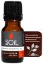 Black Pepper Essential Oil