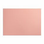Parrot Glass Cutting Board 210 X 300MM - Rose Gold