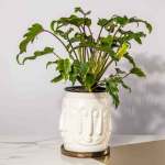 Unity Planter & Tray - Gloss White