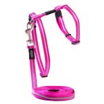 Rogz Alleycat H-harness And Lead Combination - Pink
