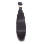BLKT 10 Inches Human Hair Straight Weaves Single Bundle