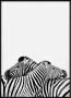 Framed Nordic 240G Quality Canvas Print- You Are Not Alone Zebras