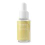 Lanlater Vitamin C Serum - Antioxidant And Moisturizing Serum