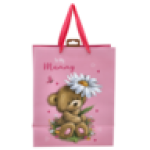 Gift Bag Large Teddy Bear With Daisy