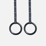 Rebel Plastic Gymnastic Rings 28MM With Carabiner Attachments