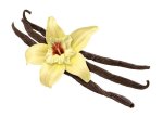 Vanilla Essential Oil 20ML