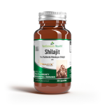 Neogenesis Shillajit