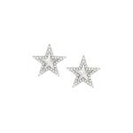 Truejoy Earrings Etched Star