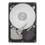 Seagate Cheetah 3.5-INCH 73.4GB Scsi Sas Internal Hard Drive ST373455SS