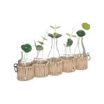 5 Piece Cosy Soliflores In Glass Set Beige