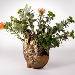 Pumping Love Heart Vase - Large - Bronze