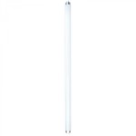 Eurolux 36W Fluorescent Globe T8 1200MM