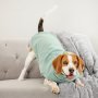 Make Mine A Mojito ~ Dog Jersey - Xxs Extra Length