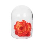 Aquarium Dome Lrg 18X14 Cm