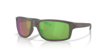 Oakley - Gibston - Woodgrain prizm Shallow Water Polarized