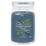 Yankee Candle Signature Collection Bayside Cedar Large Jar - New Jar Design 2 Wicks Retail Box No Warranty