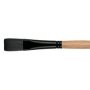 Catalyst 6400 12 Flat Polytip Bristle Brush - Long Handled