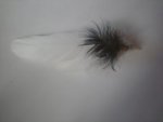 Smudging White Feather SF2