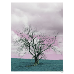 Suesscape 3 Art Print - A1
