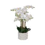 White Potted Real Touch Orchid