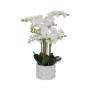 White Potted Real Touch Orchid