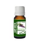 Clary Sage Essential Oil Organic - 10 Ml