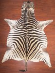 A Grade Zebra Hide 037 L