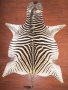 A Grade Zebra Hide 037 L