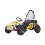 Tao GK100 Model 80CC 4 Stroke Go Kart 5-10 Years - Only Arriving End August 26 - S Accepted - Yellow