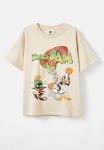 Cotton On License Drop Shoulder Short Sleeve Tee - Lcn Wb Rainy Day space Jam