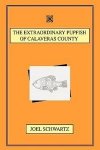 The Extraordinary Pupfish Of Calaveras County