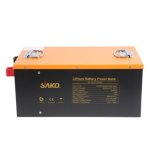 2.56KW 12V Lithium Battery