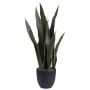 Artificial Snake Plant Pot Plastic Sanseviera Decor