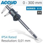 Digital Caliper 0-300MM 0-12'