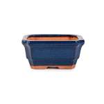 Assorted Glazed Bonsai Pots 5" - Blue Rectangular 12 X 10 X 5.5CM