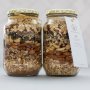Nutella Granola