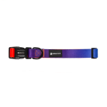 Finn Collar - Dog Collar - Small