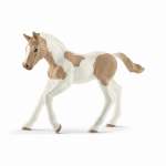 Horse Club - Paint Horse Foal